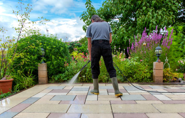 Best Fence Cleaning  in Treasure Island, FL