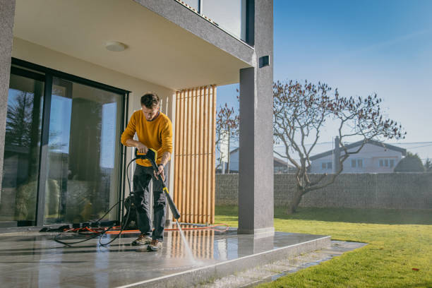 Animal Enclosure Cleaning in Treasure Island, FL